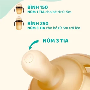 vn 11134207 7ra0g m8vnqgq5t4zmb4