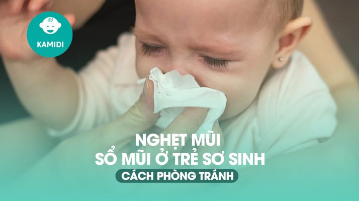 cach-phongtranh so mui