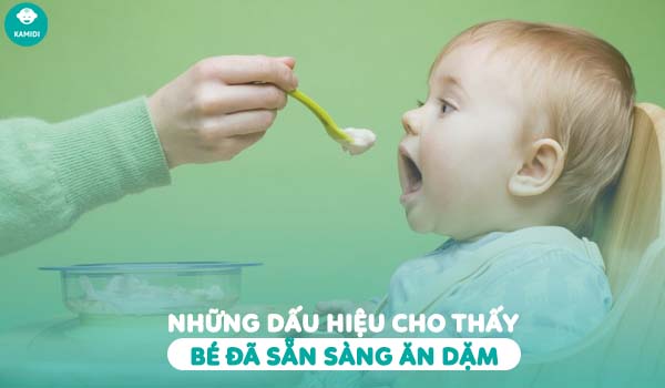 Kamidi Viet Nam Nhung dau hieu cho thay be da san sang an dam