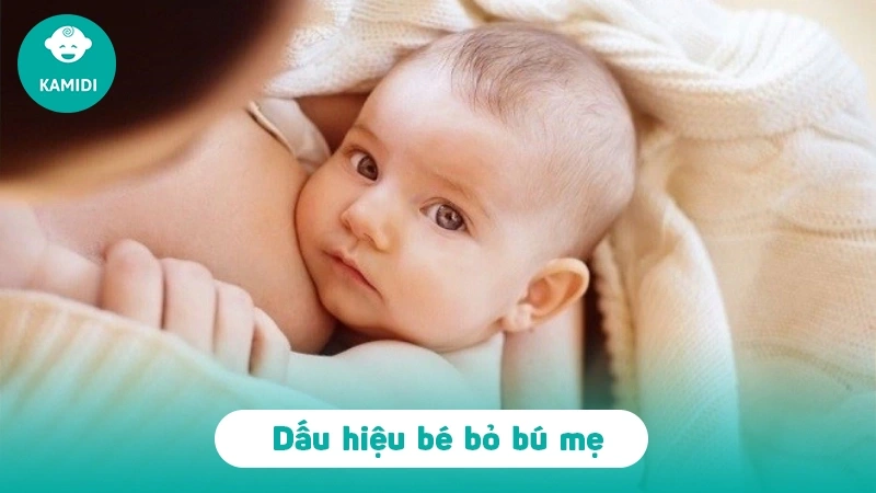 dau-hieu-tre-so-sinh-khong-chiu-bu-me-phai-lam-sao