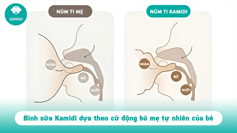 Bình Kamidi chính hãng - nghiên cứu chuyên sâu cử động bú mẹ 3 binh-kamidi-chinh-hang-2