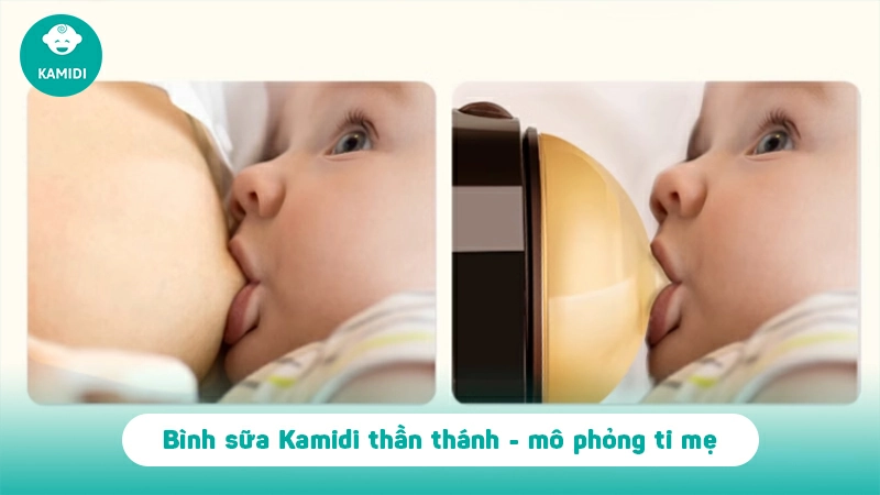 Bình Kamidi chính hãng - nghiên cứu chuyên sâu cử động bú mẹ 4 binh-kamidi-chinh-hang-3