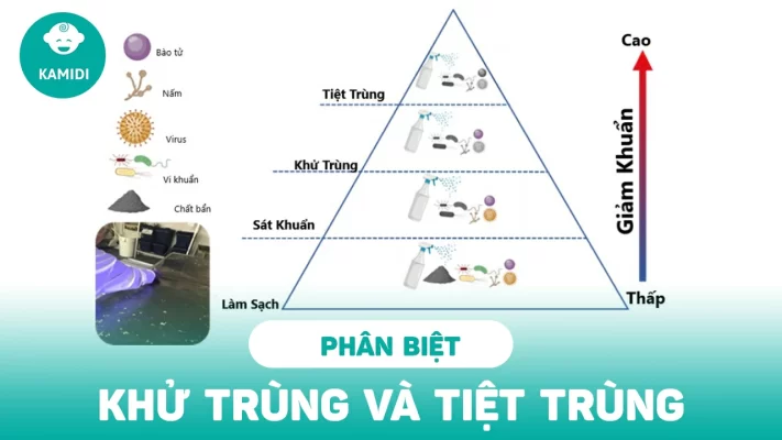 phan-biet-giua-tiet-trung-va-khu-trung