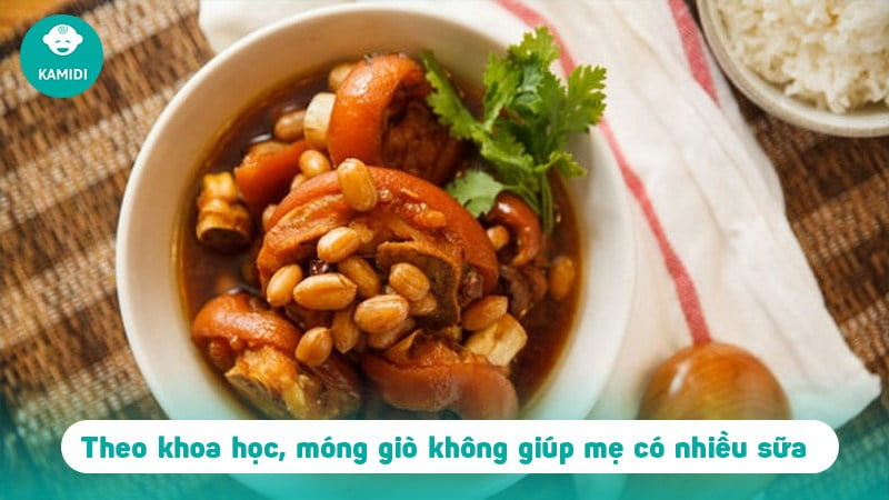 Ăn móng giò có nhiều sữa không? 2 an-mong-gio-co-nhieu-sua-khong-1