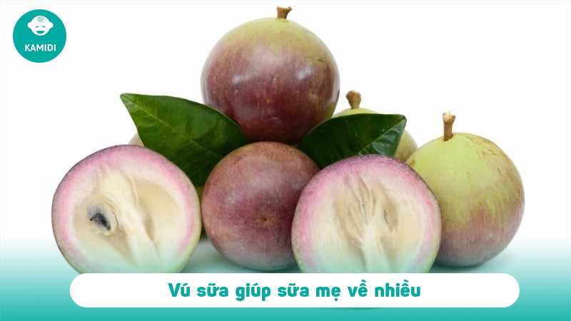 Ăn móng giò có nhiều sữa không? 3 an-mong-gio-co-nhieu-sua-khong-2