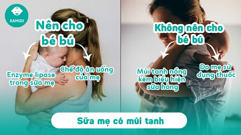 Sữa mẹ tanh phải làm sao? Nguyên nhân là gì? 3 sua-me-tanh-phai-lam-sao-1