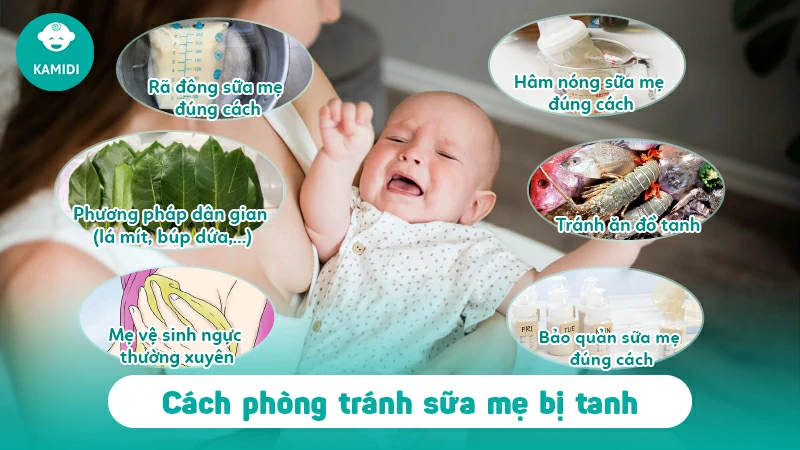 Sữa mẹ tanh phải làm sao? Nguyên nhân là gì? 4 sua-me-tanh-phai-lam-sao-3