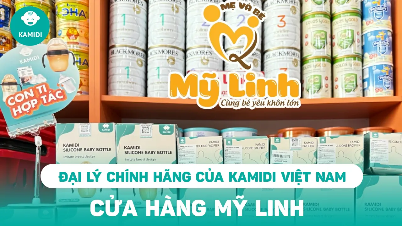 dai-ly-my-linh