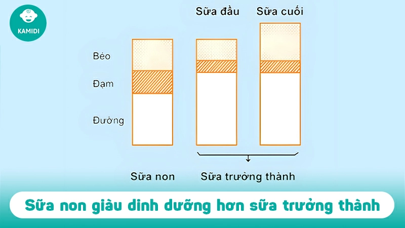 Sữa non là gì? Lợi ích của sữa non đối với trẻ sơ sinh 3 sua-non-la-gi-1