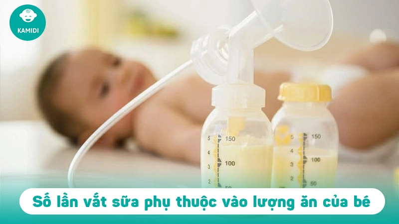 Kinh nghiệm vắt sữa bằng máy: Kiến thức bổ ích mẹ cần biết  2 kinh-nghiem-vat-sua-bang-may-1