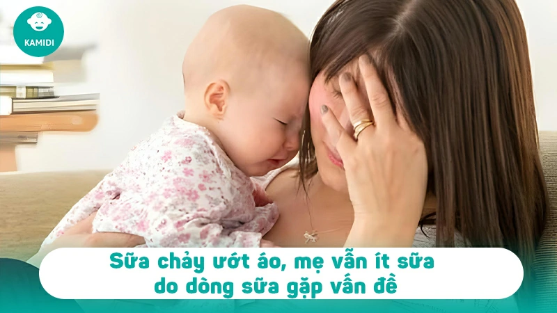 Sữa chảy ướt áo nhưng vẫn ít sữa, nguyên nhân vì sao? 4 sua-chay-uot-ao-nhung-van-it-sua-3