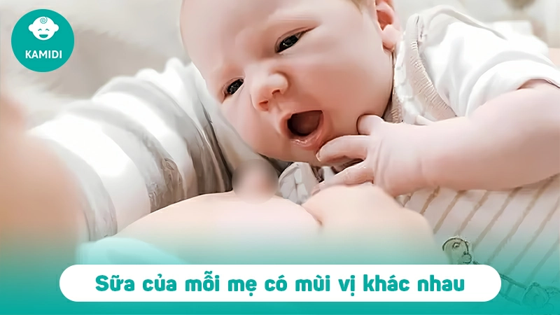 Những yếu tố nào làm ảnh hưởng đến mùi và vị của sữa mẹ? 2 mui-va-vi-cua-sua-me-1