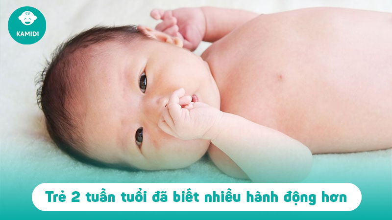 Sự phát triển của trẻ sơ sinh 2 tuần tuổi và những điều ba mẹ cần lưu ý 3 tre-so-sinh-2-tuan-tuoi-2