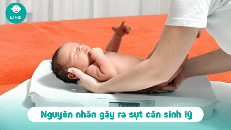 Sụt cân sinh lý ở trẻ sơ sinh: Cách kiểm soát và hồi phục nhanh 3 sut-can-sinh-ly-o-tre-so-sinh-2