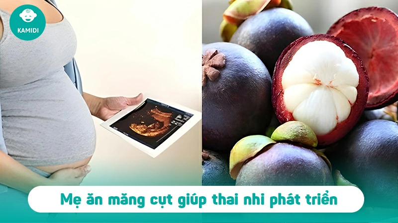 Mẹ bầu có nên ăn măng cụt không? Công dụng của măng cụt với mẹ bầu 5 me-bau-co-nen-an-mang-cut-khong-4