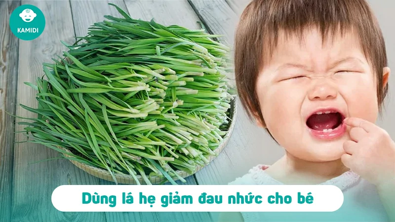 Bí quyết giúp bé giảm đau khi mọc răng tại nhà 3 bi-quyet-giup-be-giam-dau-khi-moc-rang-2