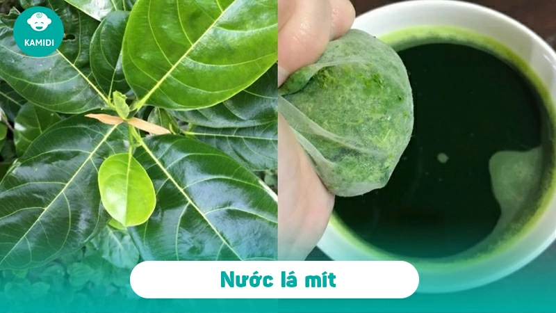 9 loại nước uống giúp mẹ dồi dào sữa sau sinh 5 nuoc-uong-giup-me-doi-dao-4