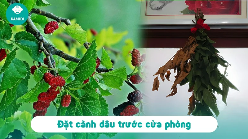 Trẻ sơ sinh phải vía - Nhận biết, nguyên nhân và cách xử lý 3 tre-so-sinh-phai-via-2