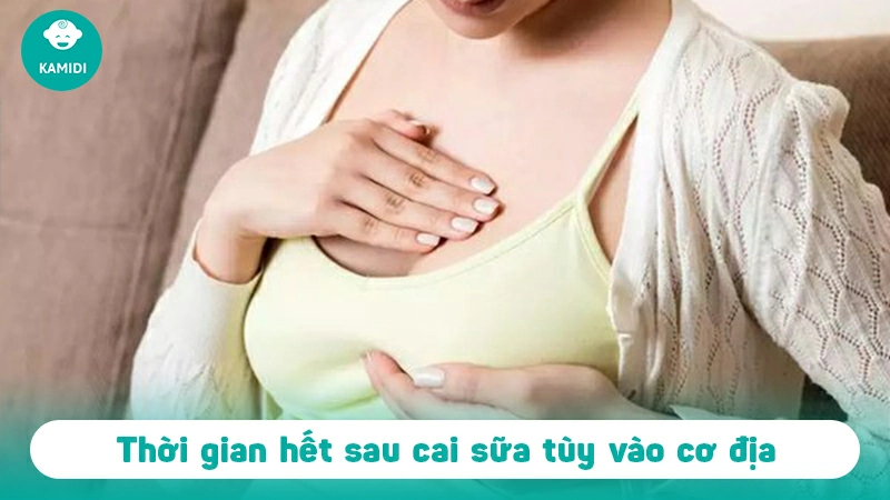 cai-sua-bao-lau-thi-het-sua-1