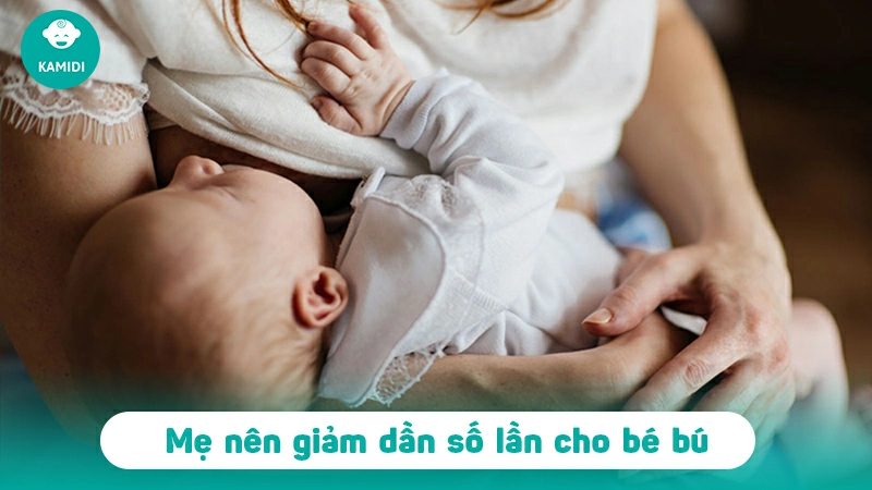 cai-sua-bao-lau-thi-het-sua-2