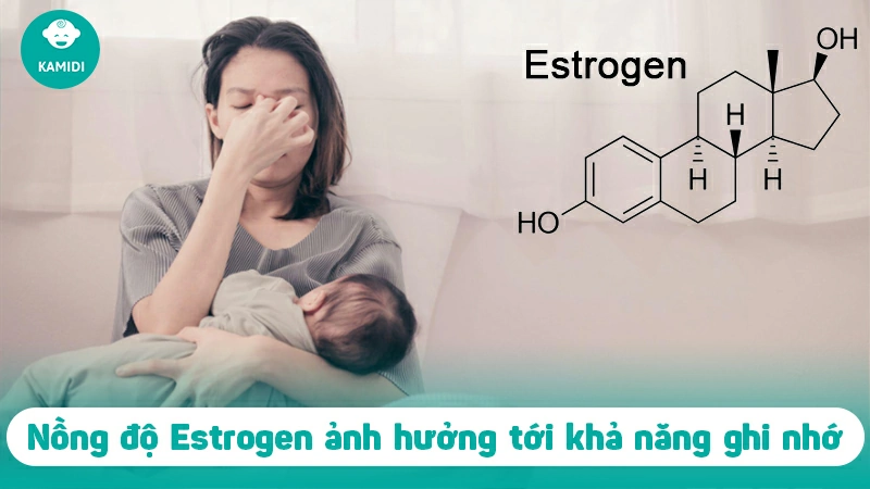 Tại sao mẹ bỉm thường hay quên sau sinh? Cách khắc phục 2 tai-sao-me-bim-thuong-hay-quen-sau-sinh-1