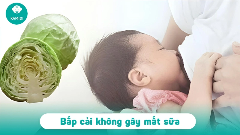 Ăn bắp cải có mất sữa không? Giải đáp thắc mắc cho các mẹ bầu 3 an-bap-cai-co-mat-sua-khong-2