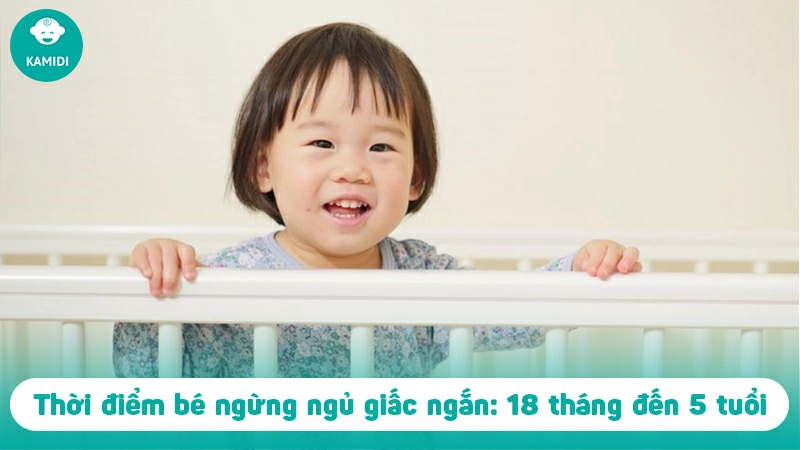 Khi nào trẻ ngừng ngủ giấc ngắn? Liệu cha mẹ có nên ngừng? 2 khi-nao-tre-ngung-ngu-giac-ngan-1