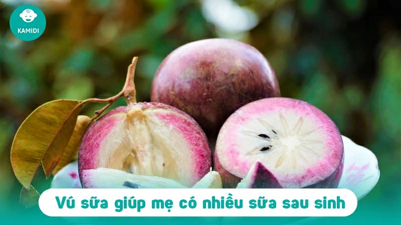 Bà đẻ ăn được quả gì? Top 6 loại quả tốt cho cả mẹ và bé 3 ba-de-an-duoc-qua-gi-4