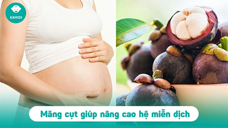 Mẹ bầu có nên ăn măng cụt không? Công dụng của măng cụt với mẹ bầu 3 me-bau-co-nen-an-mang-cut-khong-2
