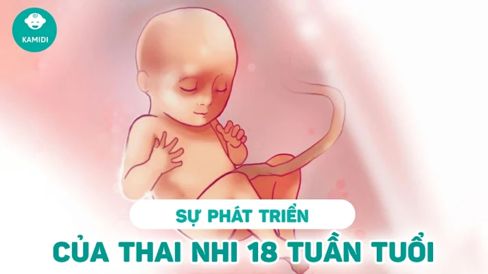 su-phat-trien-cua-thai-nhi-18-tuan