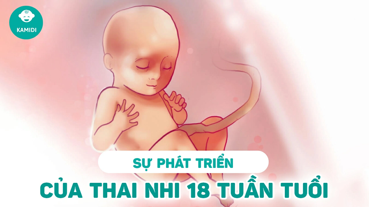 su-phat-trien-cua-thai-nhi-18-tuan