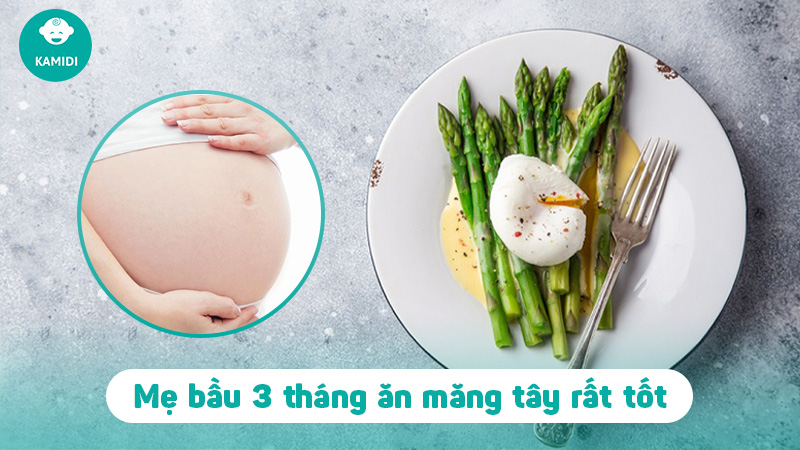 Bầu 3 tháng đầu ăn măng tây được không? Những điều mẹ bầu cần biết 2 bau-3-thang-dau-an-mang-tay-duoc-khong-1