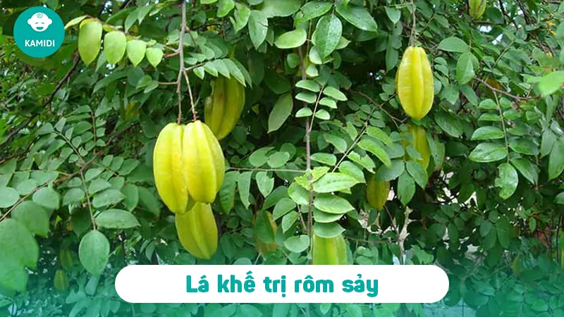 tam-cho-tre-so-sinh-bang-la-gi-tot-nhat-4