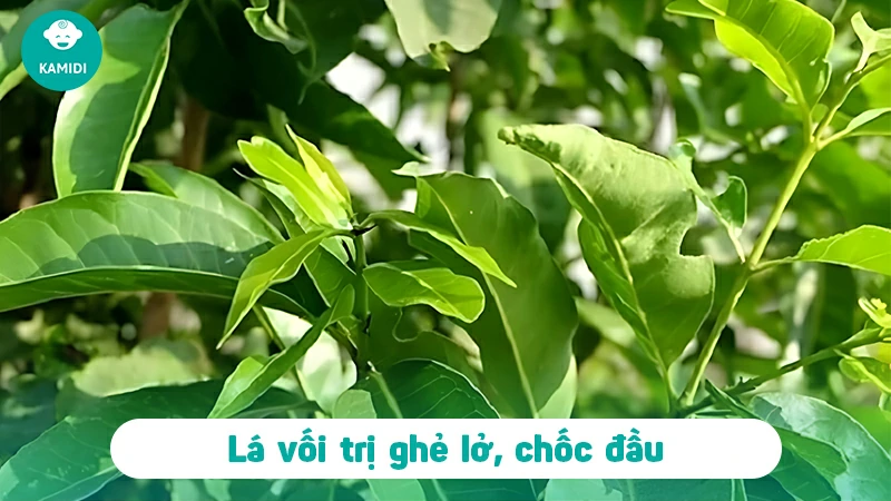 tam-cho-tre-so-sinh-bang-la-gi-tot-nhat-6