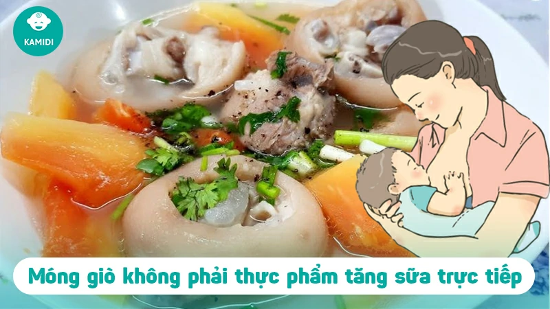 Ăn móng giò có nhiều sữa không? Những lưu ý mẹ cần biết 2 an-mong-gio-co-nhieu-sua-khong-1