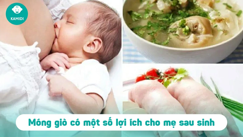 Ăn móng giò có nhiều sữa không? Những lưu ý mẹ cần biết 3 an-mong-gio-co-nhieu-sua-khong-2