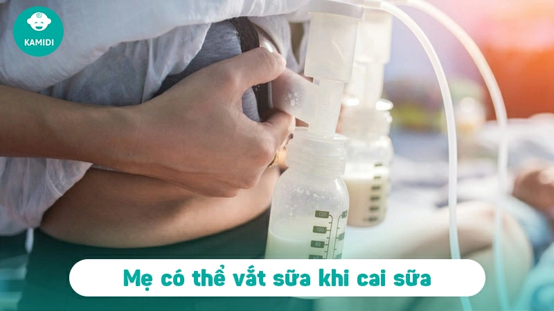 Các mẹ có nên vắt sữa ra ngoài khi cai sữa không? 2 vat-sua-ra-ngoai-khi-cai-sua-1