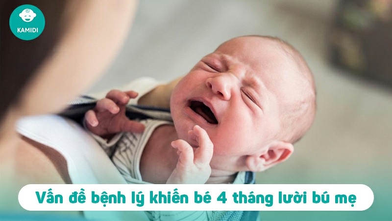 be-4-thang-luoi-bu-sua-me-phai-lam-sao-2