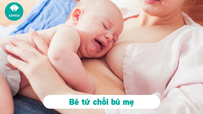 Dấu hiệu trẻ bỏ bú mẹ? Những lưu ý mẹ cần biết 2 dau-hieu-tre-bo-bu-me-1