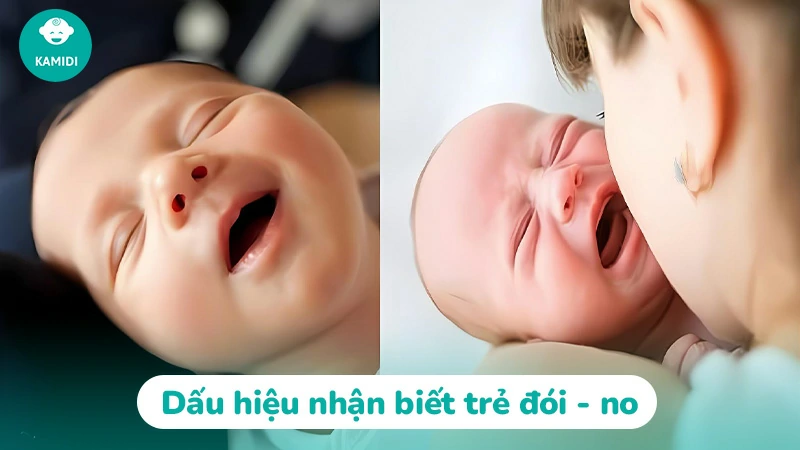 Trẻ sơ sinh đói có ngủ được không? Dấu hiệu cho thấy bé đang đói 2 tre-so-sinh-doi-co-ngu-duoc-khong-1