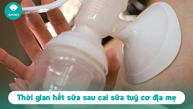 Tại sao cai sữa đã lâu mà vẫn còn sữa? Hướng dẫn cho mẹ bỉm cách xử lí hiệu quả 2 tai-sao-cai-sua-da-lau-ma-van-con-sua-1