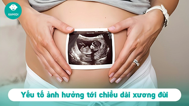 Tiêu chuẩn chiều dài xương đùi thai nhi theo tuần mẹ cần biết 2 chieu-dai-xuong-dui-thai-nhi-2
