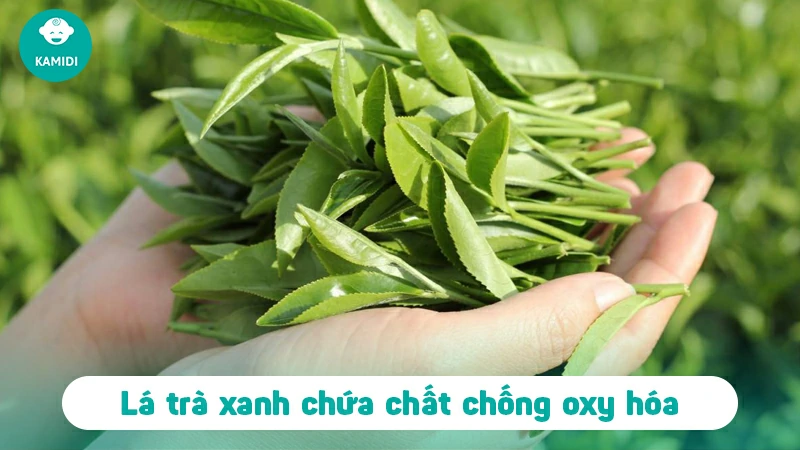 tam-cho-tre-so-sinh-bang-la-gi-tot-nhat-2