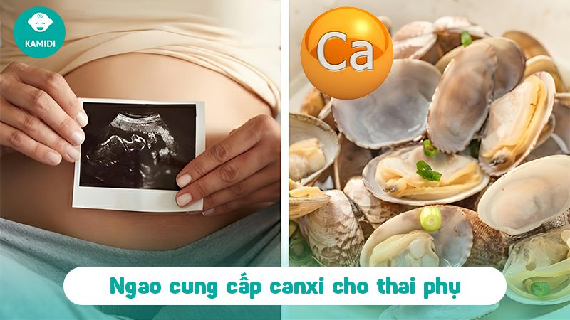 Bầu ăn ngao được không? Lưu ý khi ăn ngao cho mẹ bầu 3 bau-an-ngao-duoc-khong-2