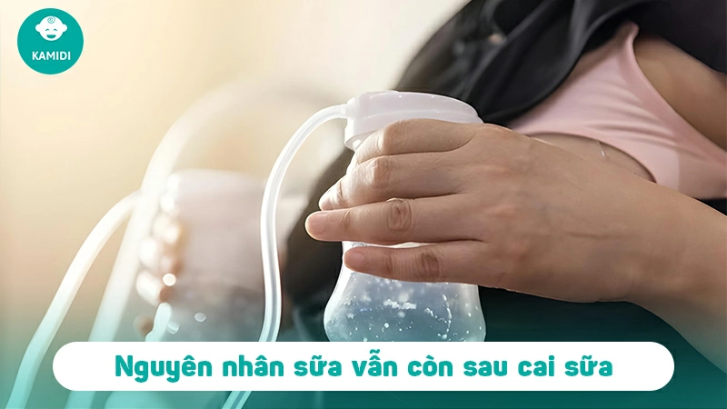 Tại sao cai sữa đã lâu mà vẫn còn sữa? Hướng dẫn cho mẹ bỉm cách xử lí hiệu quả 3 tai-sao-cai-sua-da-lau-ma-van-con-sua-2