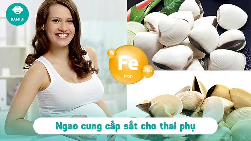 Bầu ăn ngao được không? Lưu ý khi ăn ngao cho mẹ bầu 4 bau-an-ngao-duoc-khong-3