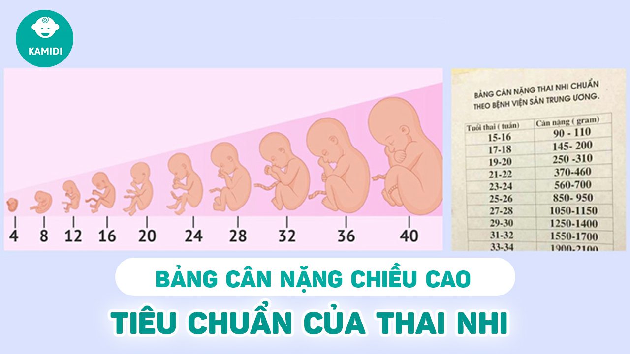 bang-can-nang-thai-nhi-chuan