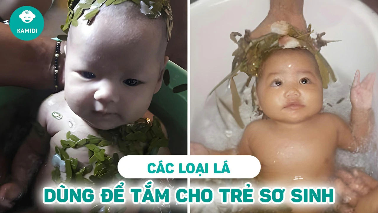 Lưu ý khi sử dụng lá xoài