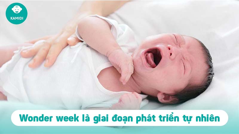 tuan-khung-hoang-cua-tre-1