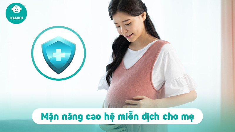 Bầu ăn mận được không? Lưu ý khi ăn mận cho mẹ bầu 4 3 6